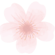 cropped-Blume_ohne_Hintergrund.png